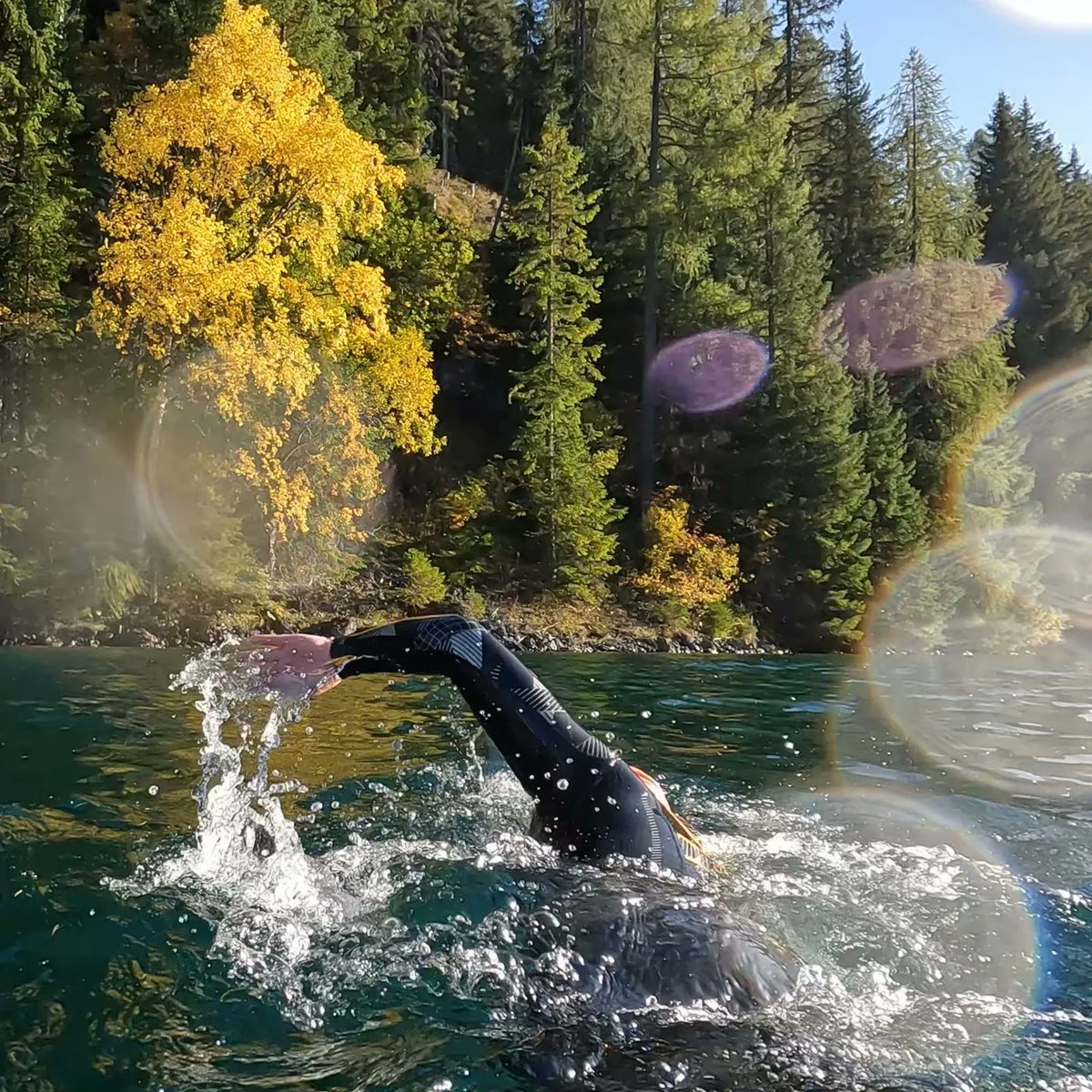 indian summer... just wow! 🤩

#pulpinocean #pulpinasocean #openwaterswimming #openwater #wildswimming #weswimwild #mountainlakes #coldwaterswimming #coldlake #indiansummer #birch #autumcolors #davosersee