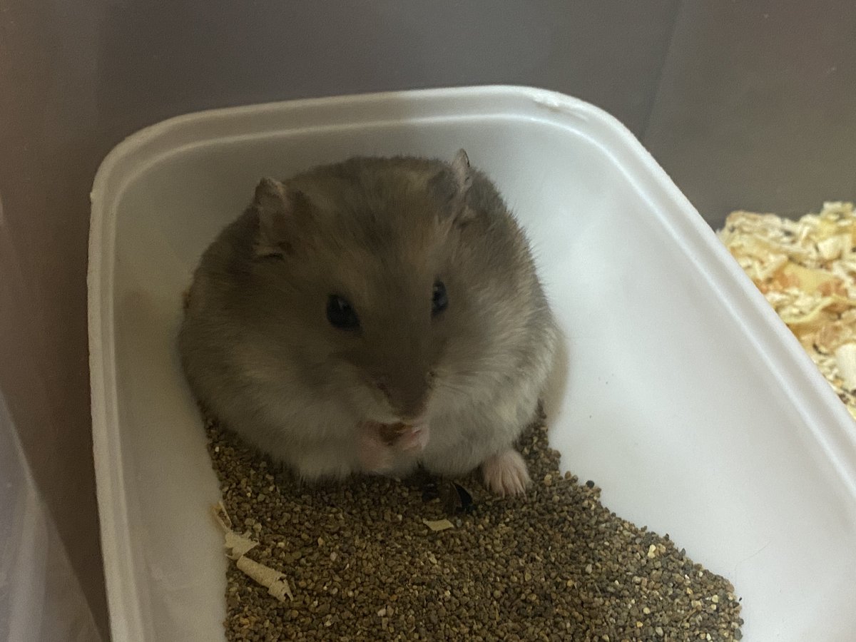 cinnamon girl (@d8niar) on Twitter photo 