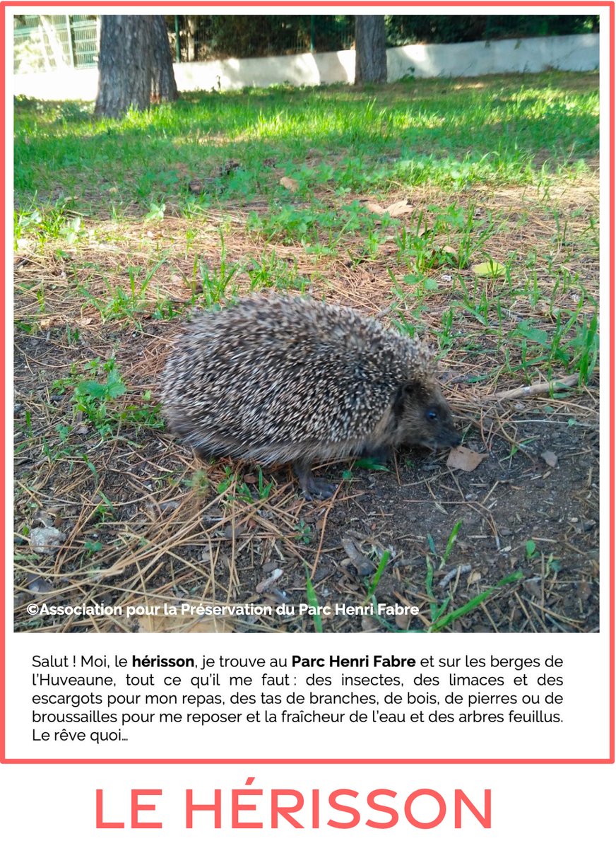 Asso Parc Henri Fabre tweet media