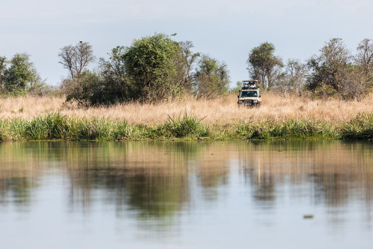 Wild Frontiers UG tweet media