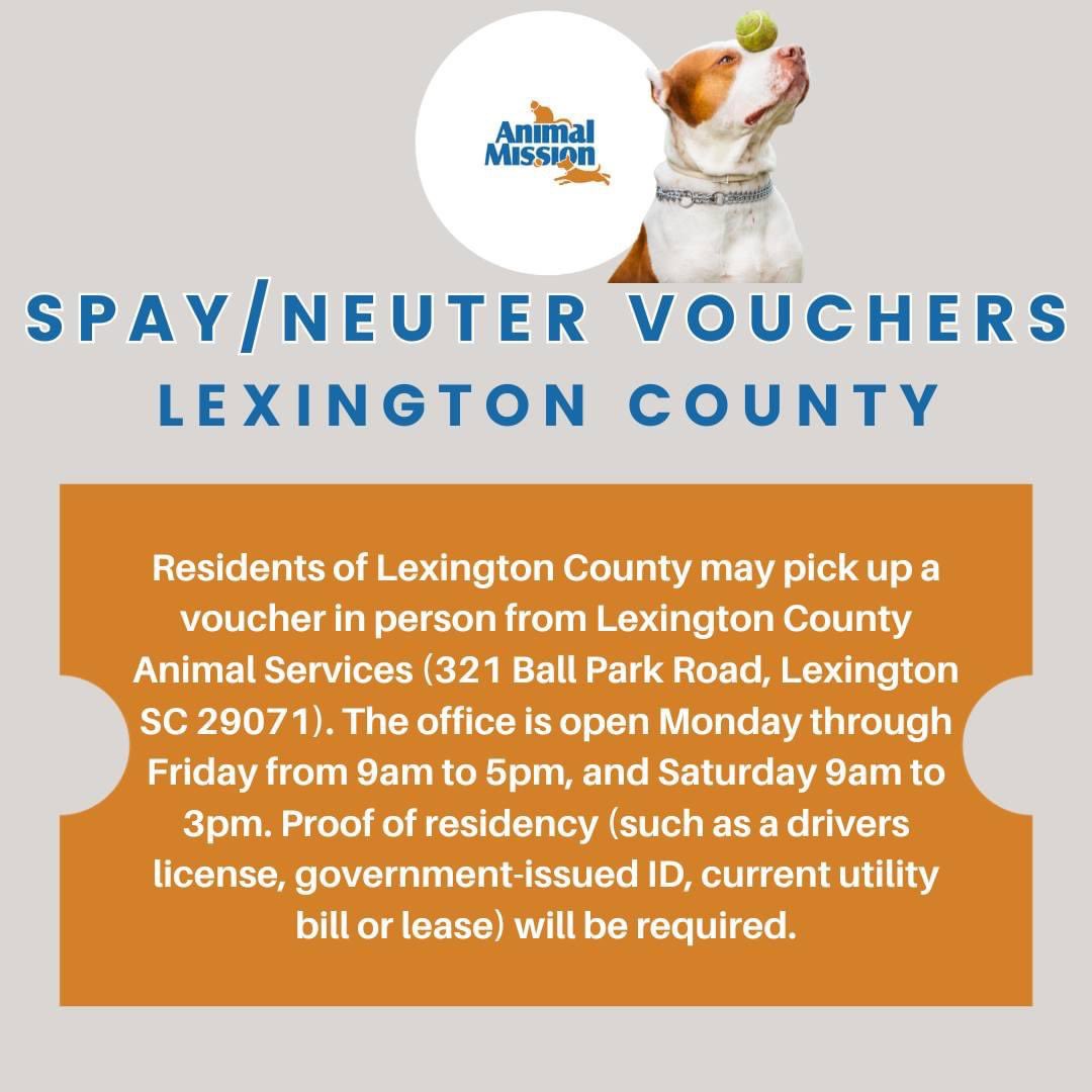 Animal Mission tweet media