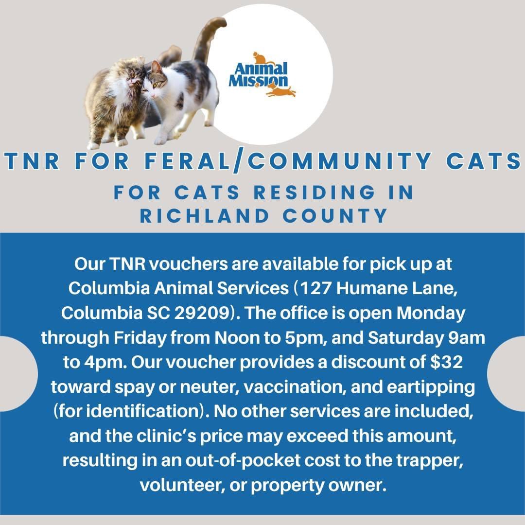 Animal Mission tweet media