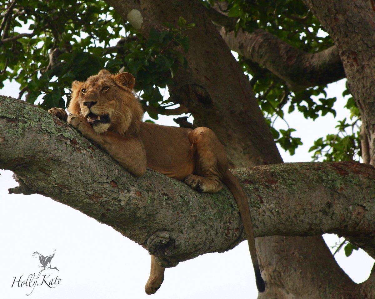 Wild Frontiers UG tweet media