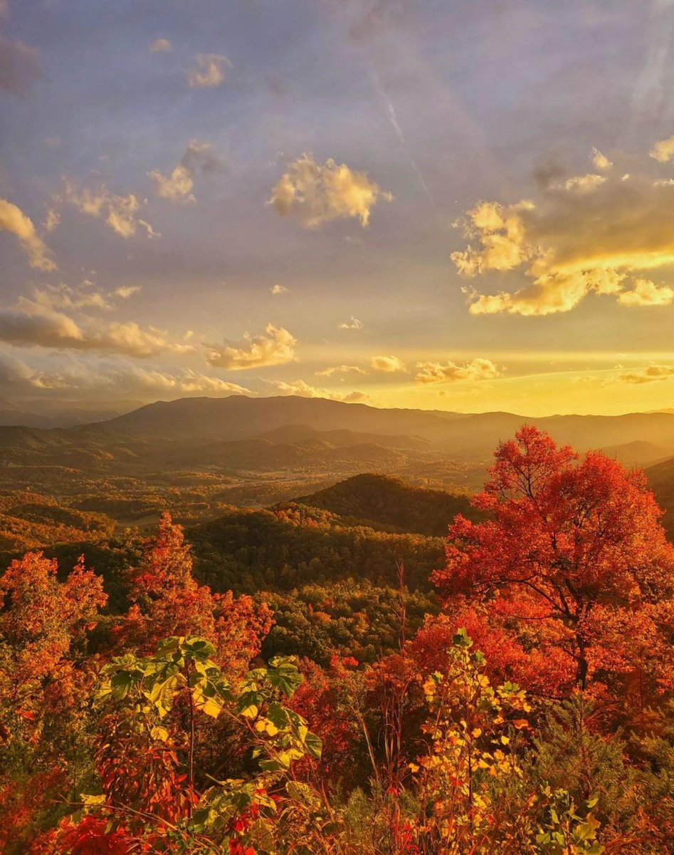 Visit Sevierville tweet media