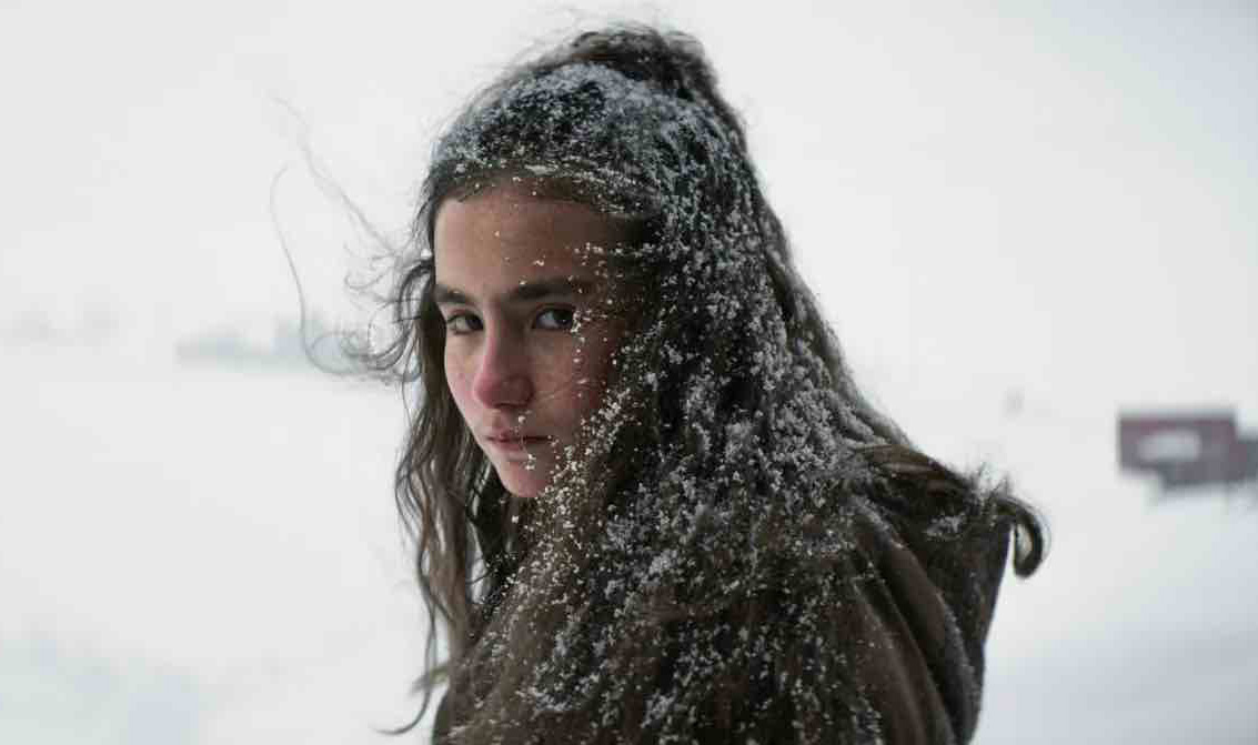 Nuri Bilge Ceylan sinemasının değişimi ve KURU OTLAR ÜSTÜNE filmi analizi: 

Genelde gri karakterlerinin bireysel yalnızlığını, topluma yabancılaşmasını, küçük dünyalarındaki çıkmazlarını, çelişkilerini vb. insanlık hâllerini seyirciyle buluşturan Nuri Bilge Ceylan, her yeni