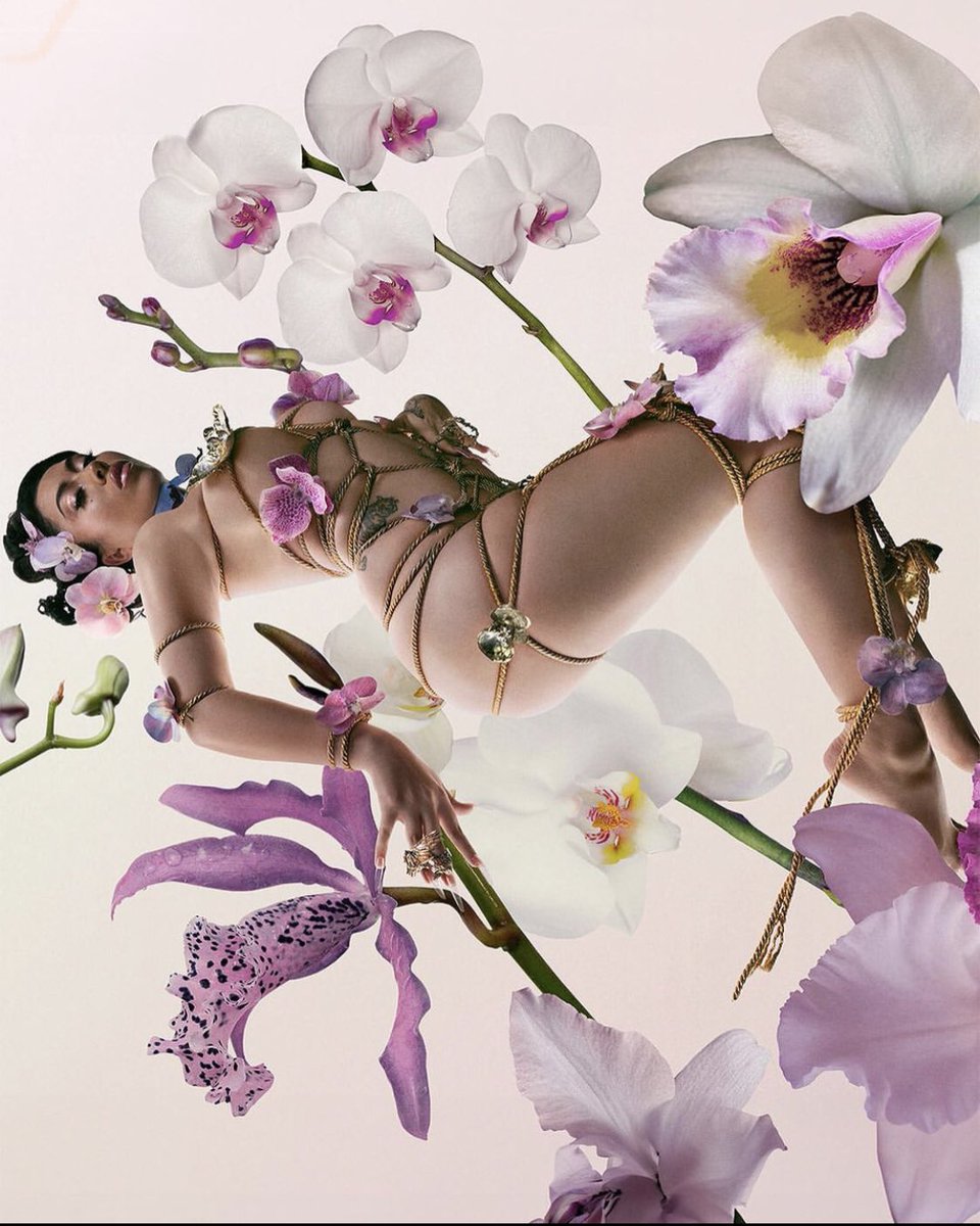 psychosly_'s tweet photo. the covers of "ORQÍDEAS" pt.1
#kaliuchis #orchids #album #albumcover #TwitterOFF #twitter #celebrity #celeb #tweet #TweetMeTuesday #meme #viral #X https://t.co/Hd3Y5ANFgO