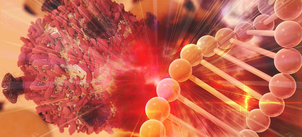 Newcastle Hospitals Skills Academy tweet media