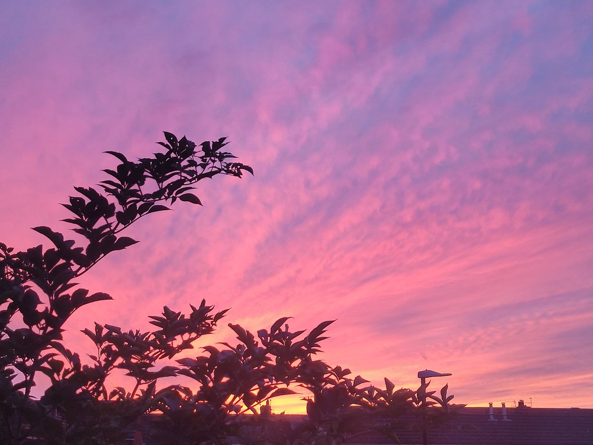 How pretty is tonight's sunset #pretty #Pink #Purple #sunset #mothernaturerocks #beautiful #frommywindow