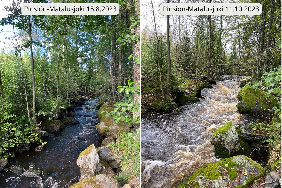 Katvaini's tweet photo. Olen aina tykännyt vedestä elementtinä, ja mikä parasta tällä hetkellä saan työskennellä vesistöjen ja raakun hyväksi. Tänään maastossa yllätti kuinka erilaisilta raakkujoet näyttivät aikaisempaan verrattuna. #LifeRevives #raakku @PirkanmaanELY @PIRvesi @LIFERevives https://t.co/EQW1iTmEd0