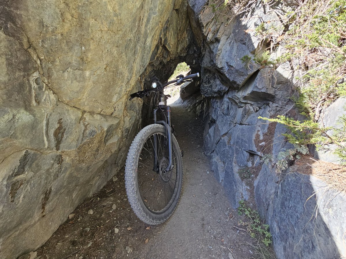 patrickmatusz's tweet photo. Grüne Lärchen Mitte Oktober. #zermatt #matterhorn #findeln #ebike #atwork #photography https://t.co/Jnsi6LYppH