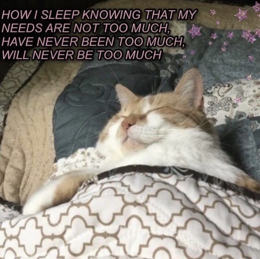RespectfulMemes's tweet photo. https://t.co/udGN7k2ZCm