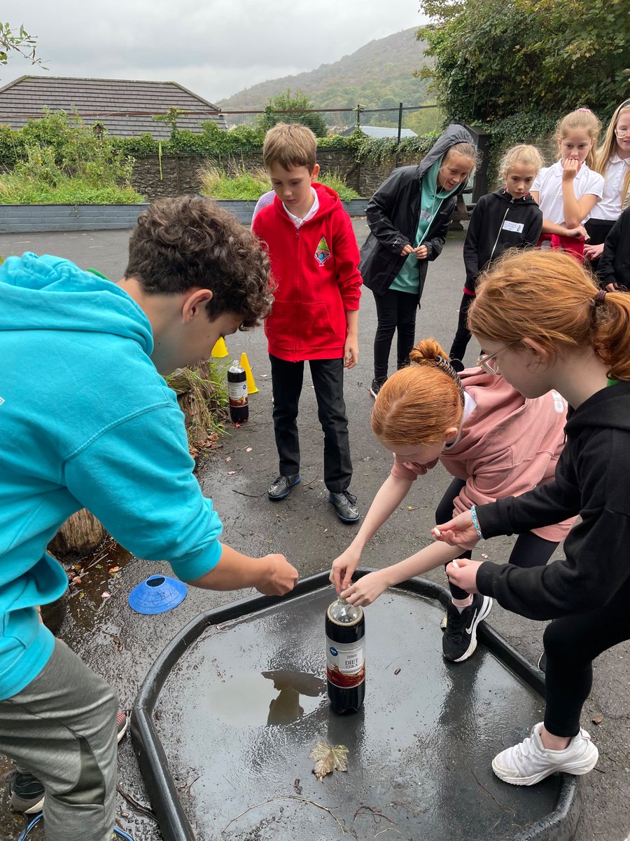 Glais Primary tweet media