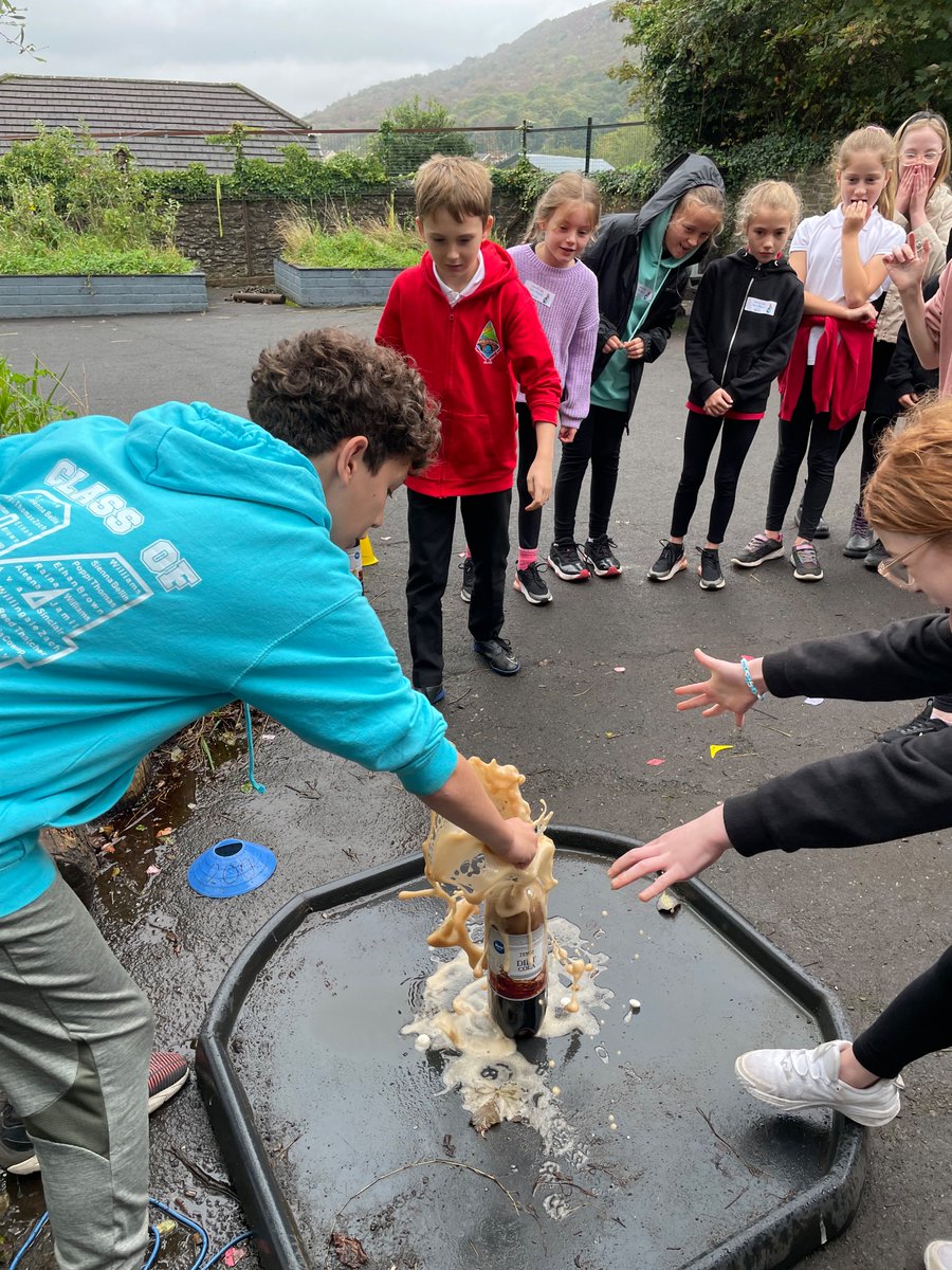 Glais Primary tweet media