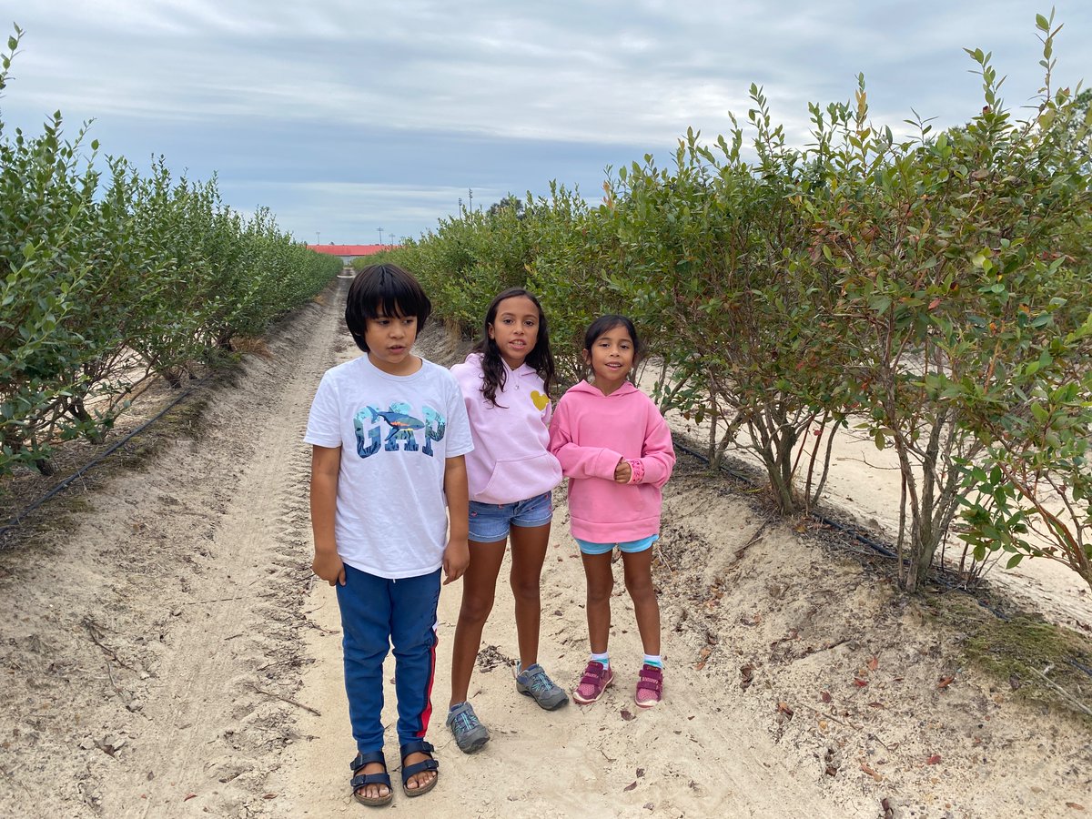 ZilfinaR's tweet photo. Fall break at blueberry fields https://t.co/E1mfnH89CN
