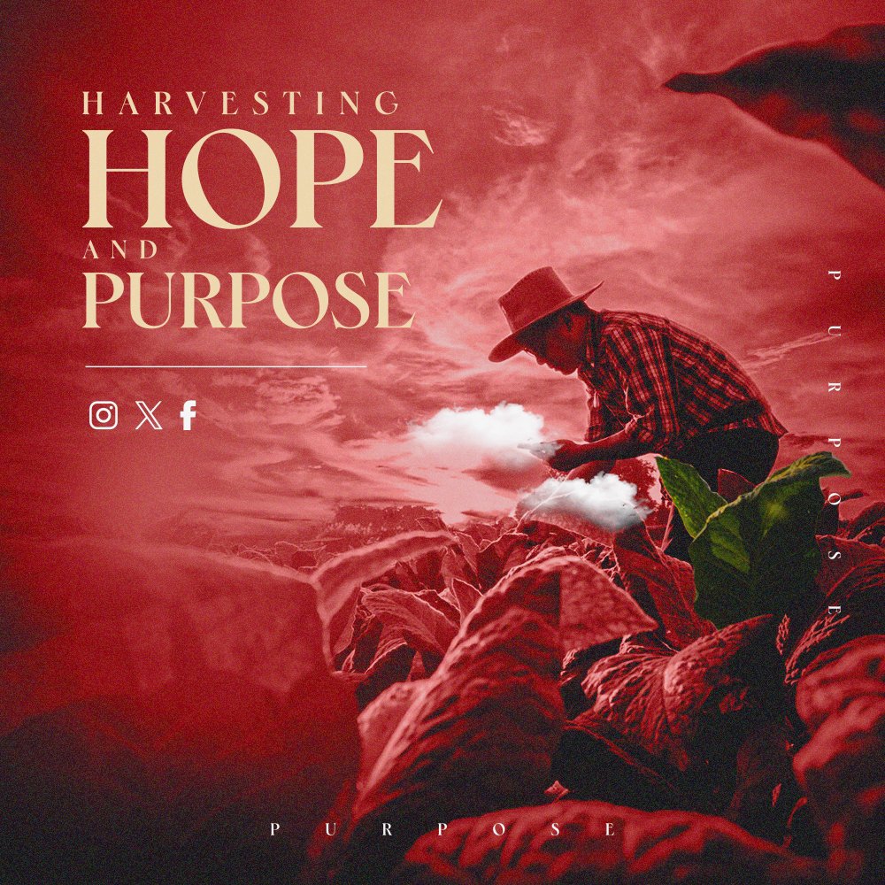 StephenSturlaug's tweet photo. 'The Lord of the Harvest' by Stephen Sturlaugson is a transformative book that illuminates the extraordinary path of discovering #hope and #purpose in the tapestry of life's changing seasons. 📖💫

#BookLovers #MustReads #InspiringReads #BookRecommendation #BookishCommunity #Book https://t.co/5UxgBbo0u2