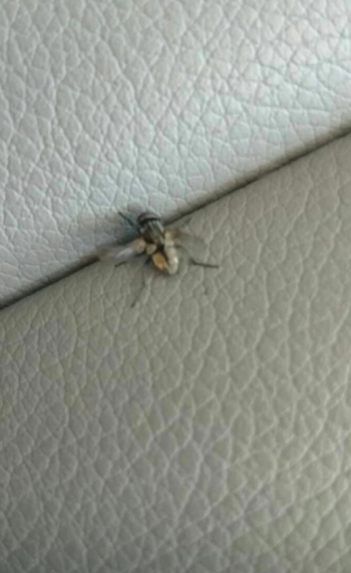 pinkipai (@trashware_) on Twitter photo 