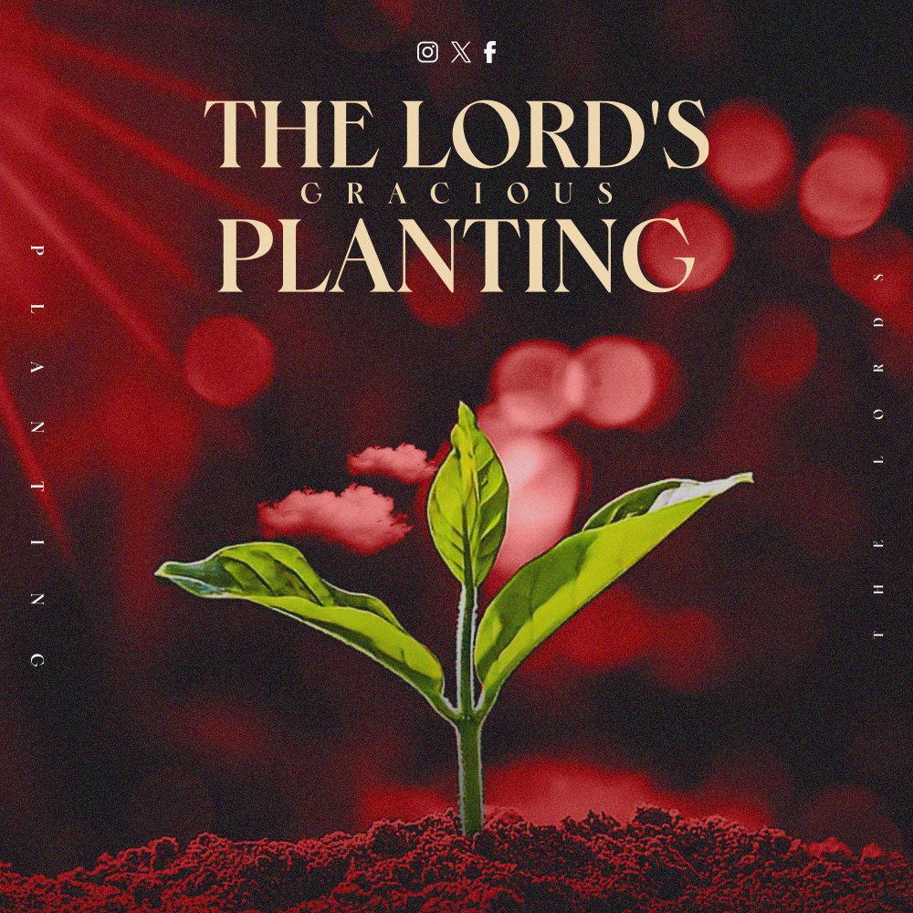 StephenSturlaug's tweet photo. In 'The Lord of the Harvest,' we explore the wondrous ways in which #God lovingly #plants and tends to our #lives. 🌿💕

#BookLovers #MustReads #InspiringReads #BookRecommendation #BookishCommunity #Bookworms #ReadersOfTwitter #BookNerd #TrendingReads #BookObsessed #Books https://t.co/dZlcrMwnq9