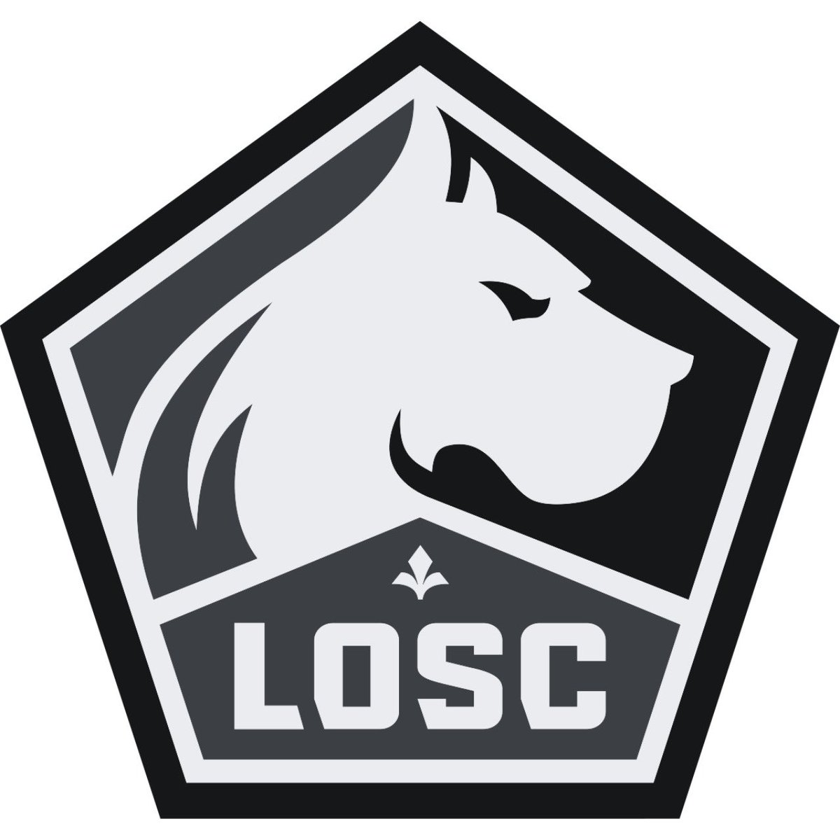 losclive's tweet photo. Le LOSC suit avec horreur et tristesse l’évolution de la situation au Proche-Orient. 💔

Face à ce conflit qui nous affecte tous, le LOSC souhaite transmettre à ses supporters du monde entier un message de fraternité et de paix, et adresse une pensée émue aux familles touchées de près comme de loin par cette tragédie.