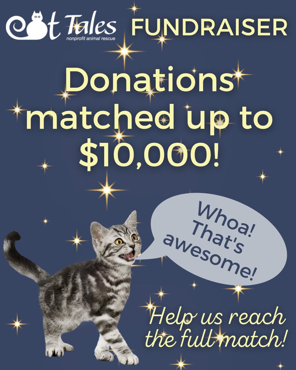 We have generous donor who is matching Donations up to $10k right now! 🙀 If you were ever going to donate to us, now is the time! Donate via Venmo, at <a href="/cattalesinc/">Cat Tales Inc.</a> 
Or this edicated PayPal link: paypal.com/donate/?hosted… 
No amount is too small! 🙏😸