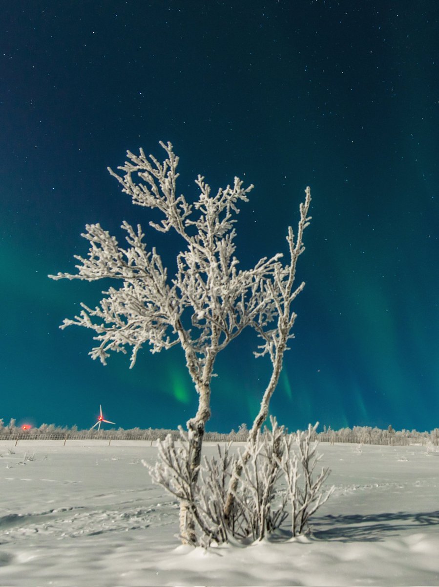 Kiruna has once again turned into a winter wonderland overnight. ❄️
Which of course means it's been (and still is) completely cloudy. 
Hopefully it will be clear sometime soon and when it is, new photos will be coming! :)