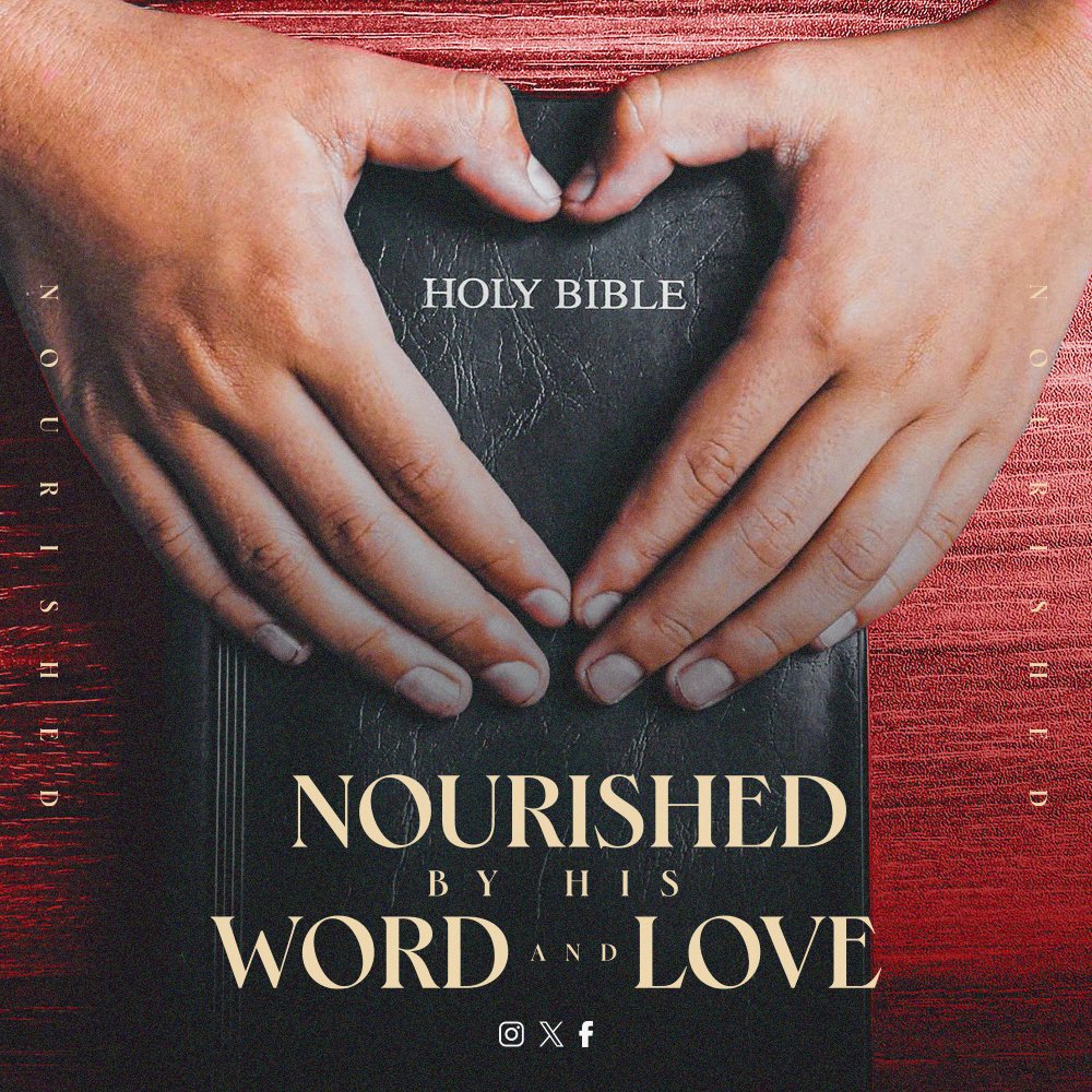 StephenSturlaug's tweet photo. Let 'The Lord of the Harvest' be your guide on a journey of spiritual nourishment, where His Word becomes the nourishing sustenance for your heart and soul. 🌟🌻

#BookLovers #MustReads #InspiringReads #BookRecommendation #BookishCommunity #Bookworms #ReadersOfTwitter #BookNerd https://t.co/8k5fxJERco