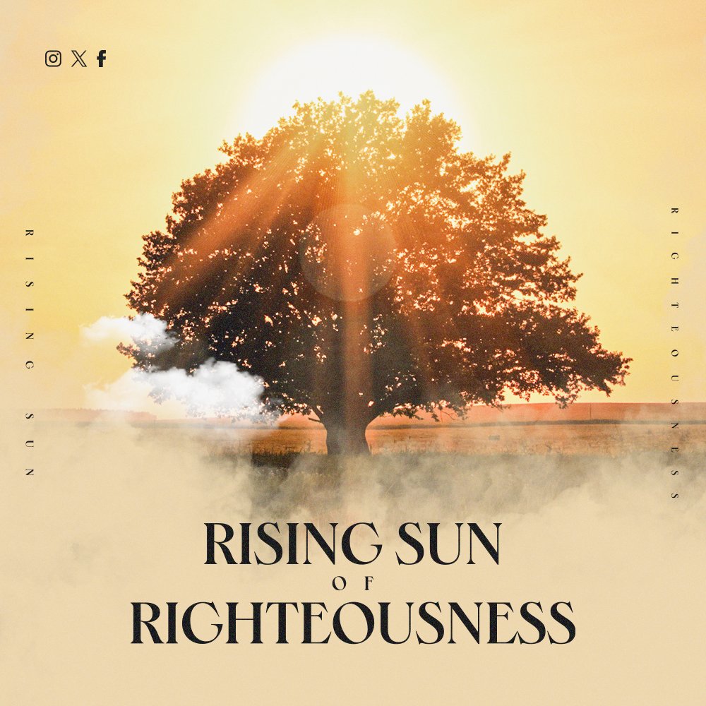 StephenSturlaug's tweet photo. As you read through the pages of 'The Lord of the Harvest', let the radiant truth of His #righteousness fill your #heart and guide your path. 🌄📚

#BookLovers #MustReads #InspiringReads #BookRecommendation #BookishCommunity #Bookworms #ReadersOfTwitter #BookNerd #TrendingReads https://t.co/imTdkgXD3u