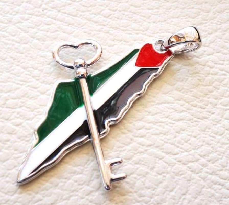 الله يحمي فلسطين واهلها ✌️✌️✌️❤️