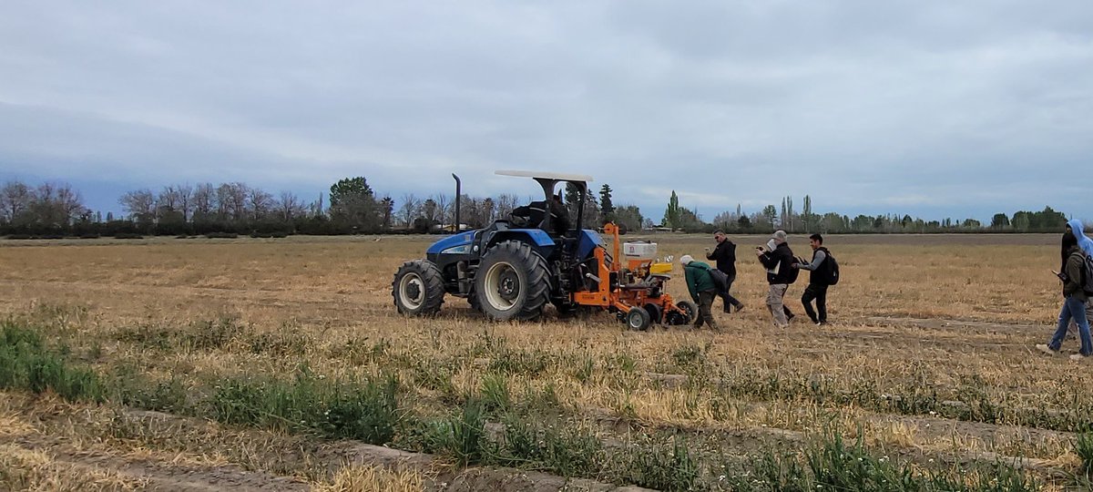 damicojp33's tweet photo. Dinamica de siembra directa sobre cobertura cebada, y charla en INTA La Consulta,
Mendoza. #CuyoNoTillTour #AgriculturaRegenerativa #LabranzaCero #Horticultura #Carbono https://t.co/tkh1TUFOgi