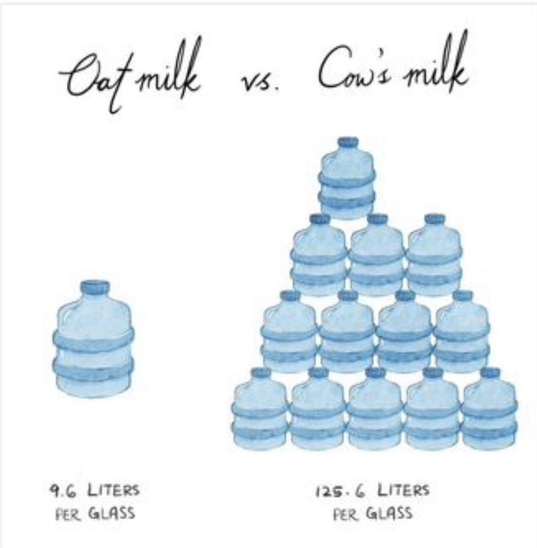 HealthFitVegan's tweet photo. Oat milk vs. Cow's milk

#GoVegan #veganlife #veganpower #environment #watercrisis #sustinable #love #vegannow https://t.co/TWga4JgtkV