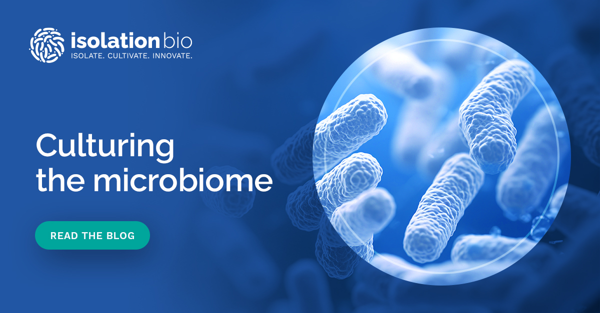 IsolationBio's tweet image. Read our blog “Culturing the Microbiome: A Pain in the Petri Dish” to learn about efficient microbial isolation and cultivation techniques that can eliminate hundreds of petri dishes and free up hours and hours of hands-on time.

isolationbio.com/culturing-the-…

#microbiome #microbes