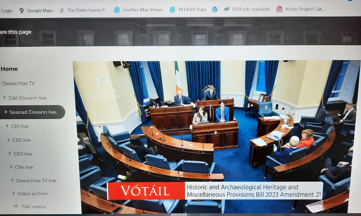 Democracy in action in  #seanadéireann this evening voting on amendments at report stage  of the Historic & Archaeological Heritage & Misc Provisions Bill. Hopefully the bill will make it to final stage this evening