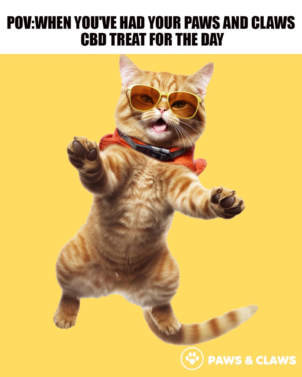 When you're on Paws and Claws CBD, every day is a purr-fect day!

#pawsandclawscbd #catmeme #funnycats #petlovers #catlover #cbdforcats #cbdcat #memes #wednesdaythoughts #catmom #catdad #catsoftwitter #catsfunny #catlovers #cbdtreats #cbd @CatMemesDaily1