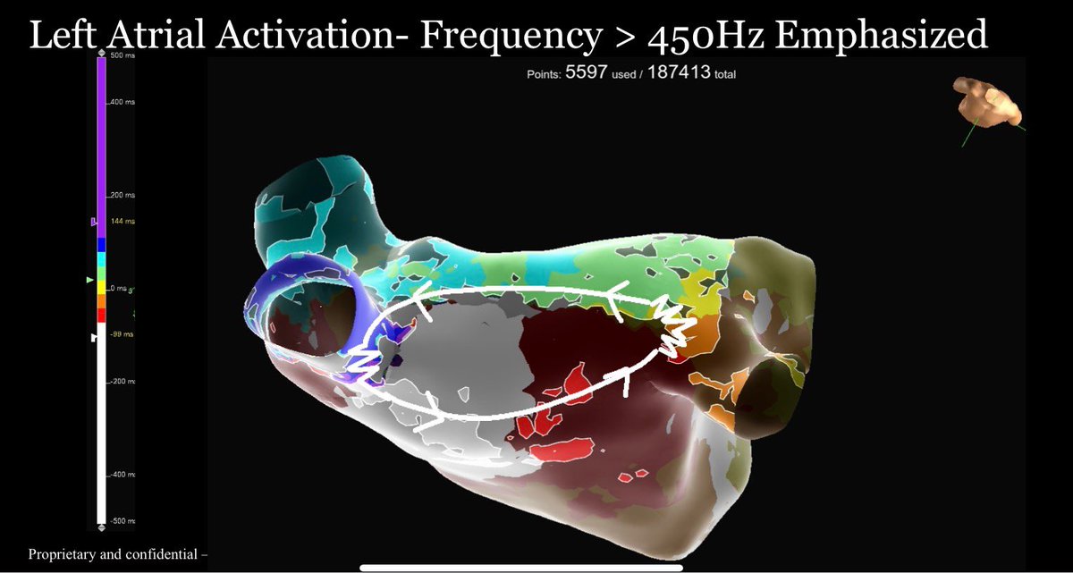 Lily Englander tweet media