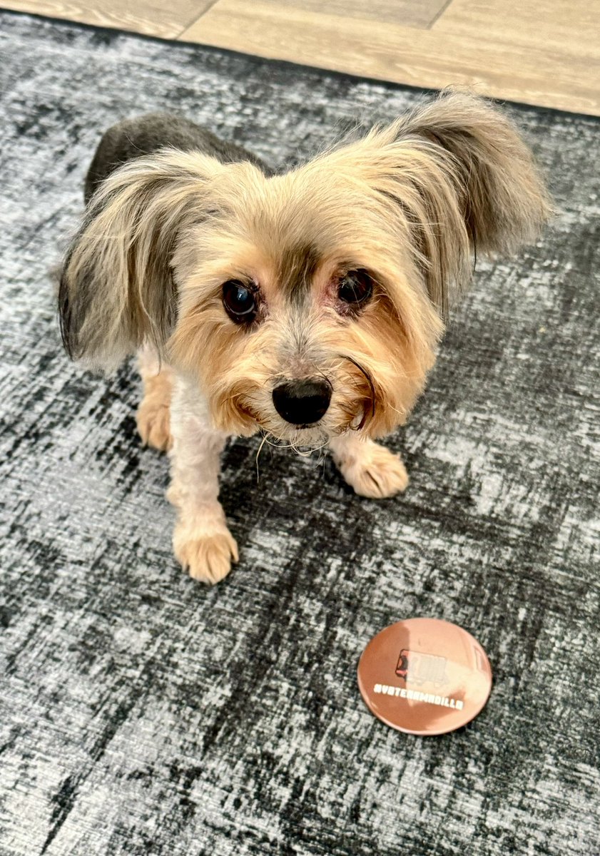 Mythicalsausage tweet media