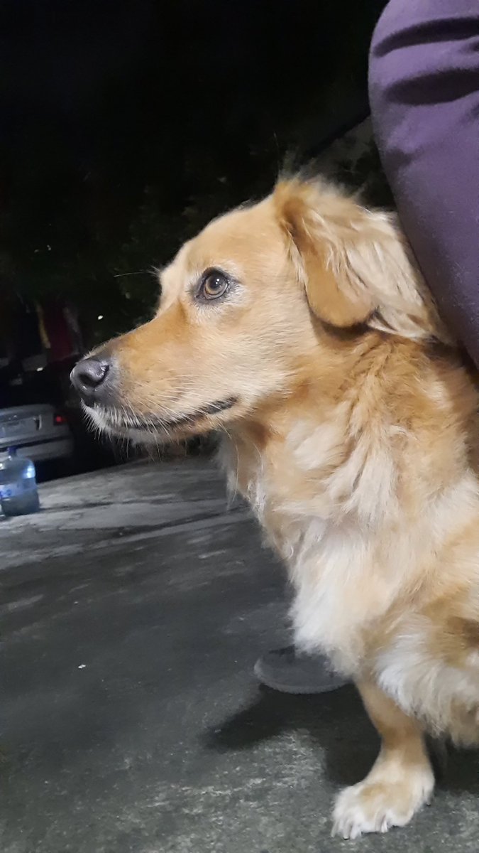 NomiRodz's tweet photo. ☺ cutie 🐾 https://t.co/CFDuUZnQn1