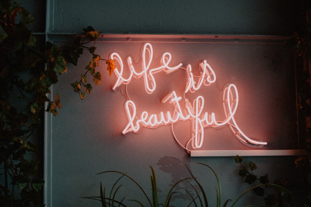 gweldon's tweet image. Life is beautiful. ❤️

Don't forget!

#life #quotesaboutlife #wisdomquotes #lifebeauty #lifeisgood