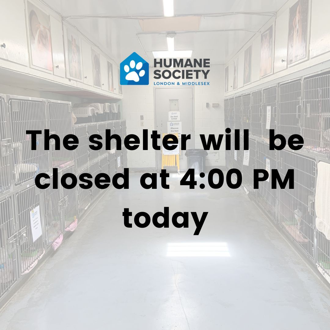 Humane Society London & Middlesex tweet media