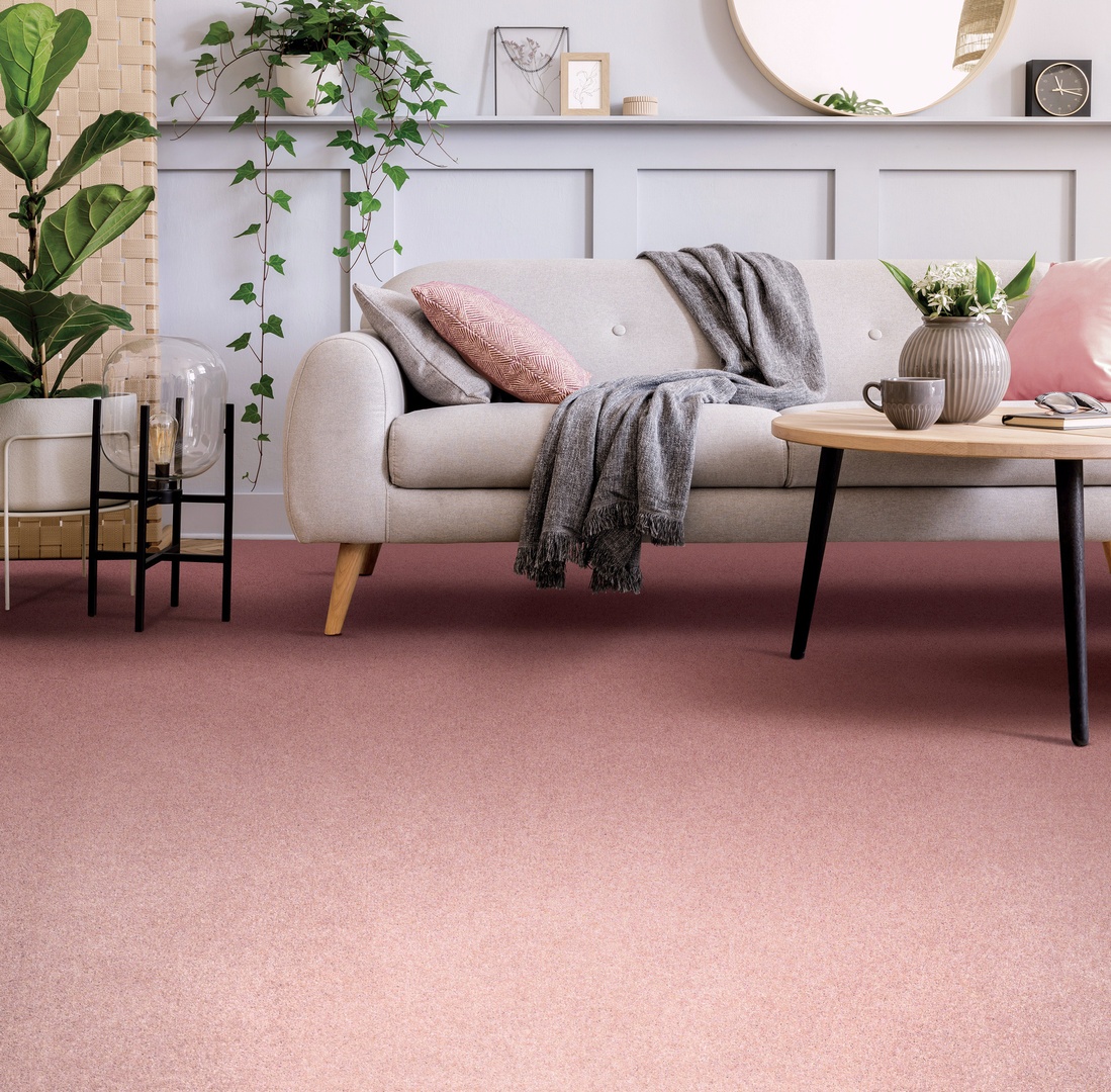 RonTaylorCarpet's tweet photo. Penthouse Wentworth...Give your home a sense of unmistakable elegance! There are 18 rich, classic shades to choose from. Combining sophistication with long-lasting comfort.

Head to our website to order your free samples today: https://t.co/CJfxIooiKF https://t.co/YcdwmKzAo8
