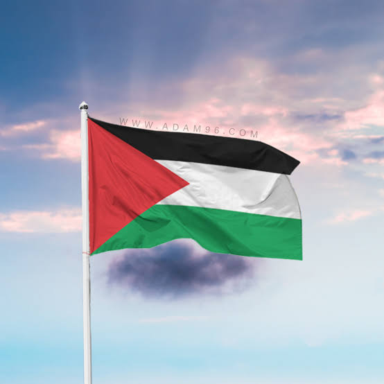 shadyhalim007's tweet photo. #صورة_ملف_شخصي_جديدة https://t.co/wzKXHvrnxE