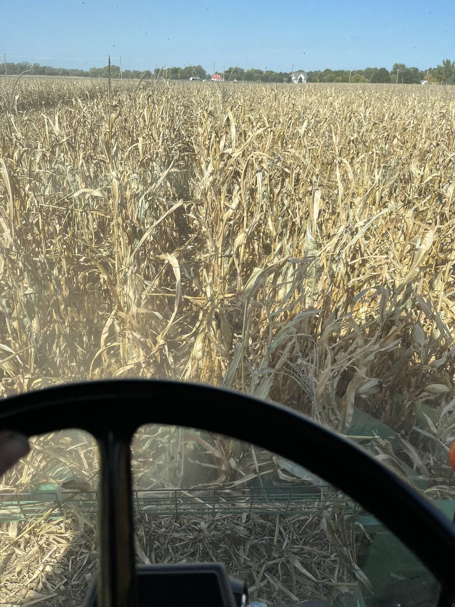 koinzangreg's tweet image. I’ll deny it #ipromise