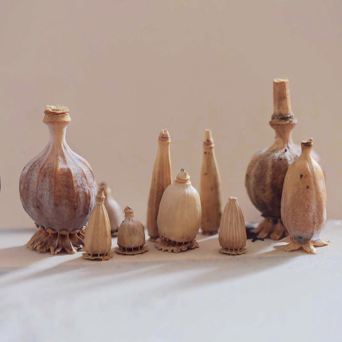 Jonas Frei tweet media