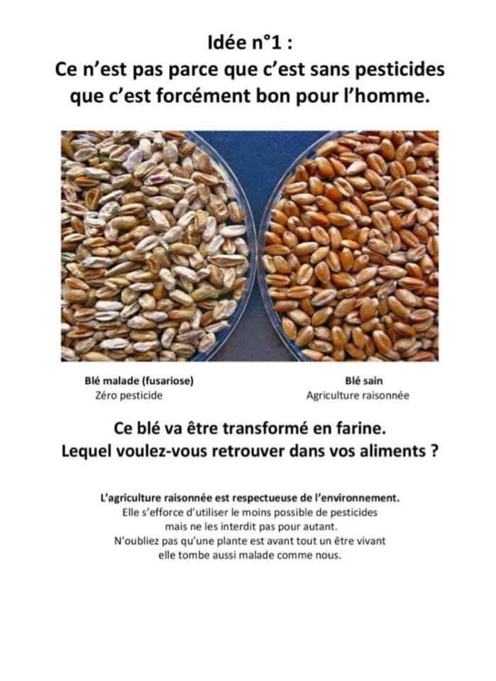 Demol Olivier (@olivierdemol) on Twitter photo 