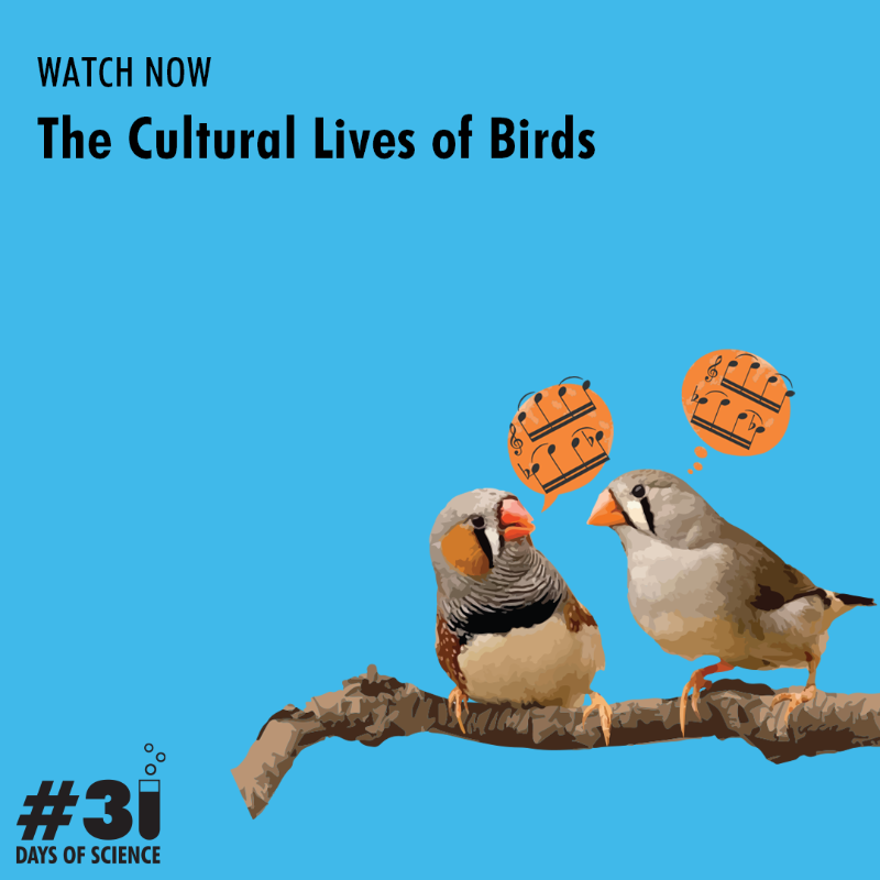 AnnualReviews's tweet photo. Scientists are finding evidence that many birds are cultural creatures. What does it look like and why does it matter? https://t.co/FmF0wVHCDR
#31daysofscience
