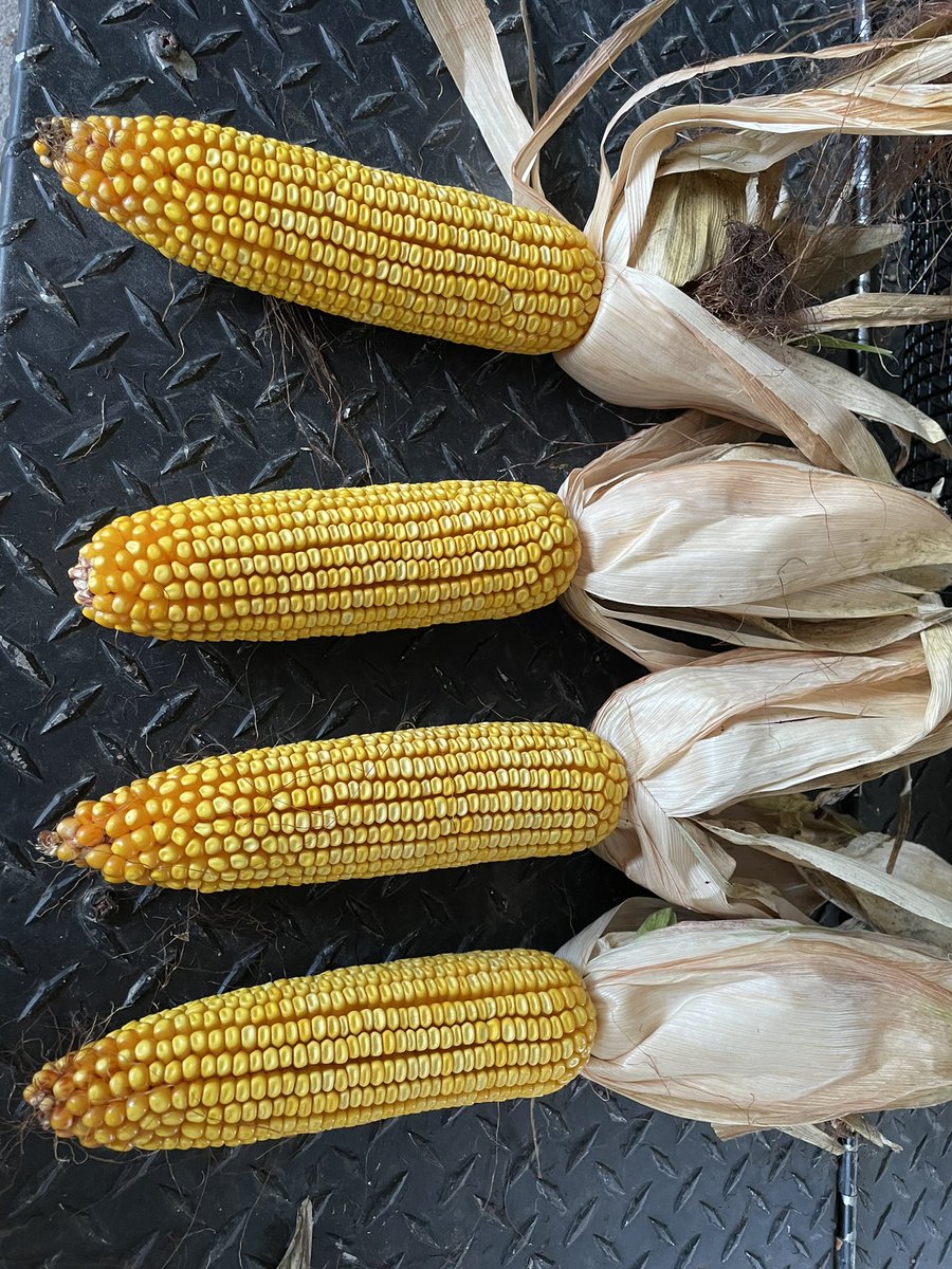 Katie Blair tweet media