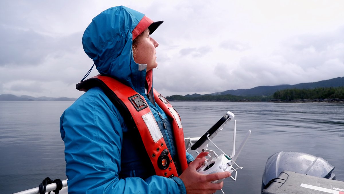 OceanDecadeNEP's tweet photo. #Kelp plays a critical role in coastal marine ecosystems and our ability to monitor it is crucial 🌿
Read @HakaiInstitute's latest post about the new #KelpMappingGuidebook➡️ https://t.co/ocREJ71J5i
We are also ONE WEEK away from our Kelp Mapping Webinar 👉 https://t.co/AlXnTiPmcH https://t.co/BRXVuahY3h