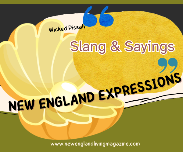 NELivingUS's tweet photo. New England Expressions | New England Living Magazine https://t.co/a1ZwU4Fc5y #newenglandexpressions #newenglandsayings #newenglanders #wickedpissah #newenglandslang #slang #slangsaying #sayings #NewEngland #NELivingMagazine #NewEnglandPhrases https://t.co/j3lkzsR4Kr