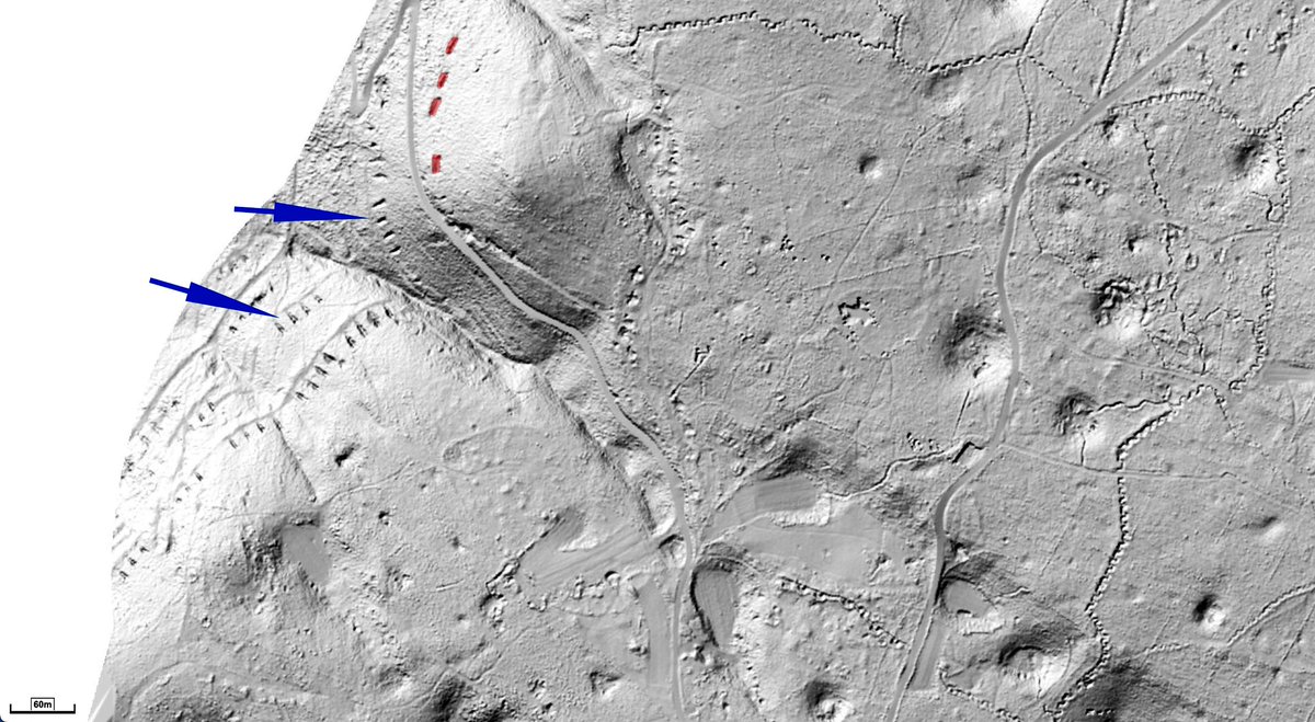 masaccio60's tweet image. Excellent LiDAR view of Italian WW1 gun pits on the eastern slope of the Vallone (Carso). There was a lot of fire-power there, but it’s hard to identify it on the ground now. They were dug after the 6th Izonzo and supported Italian attacks on Veliki hrib and Pečina. #Isonzo