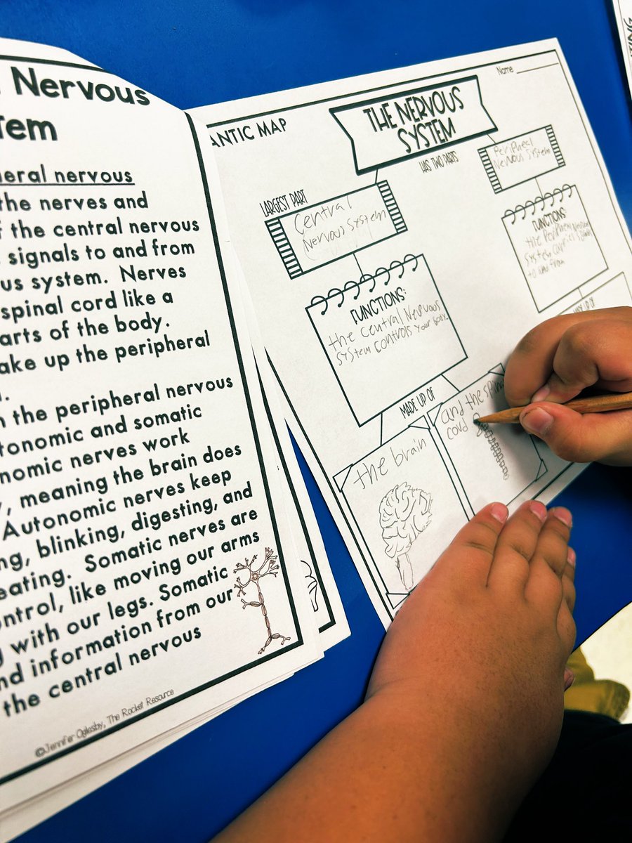 FrisonJaclyn's tweet photo. Writing about the central and peripheral nervous system through text activity stations in GT! 3rd grade blows me away every time I see them! #writingandstem @CMSoto_Leaders https://t.co/fl2IvS2iX6