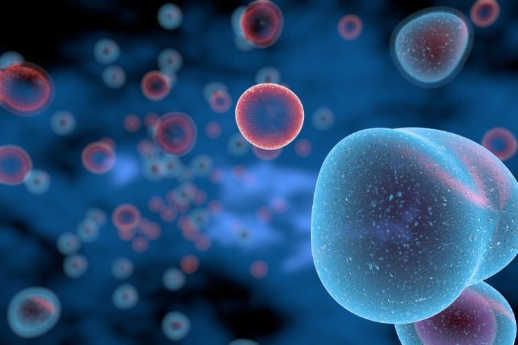 MedTechNow_'s tweet image. more strategic collabs, agreements

~#ConduitPharmaceuticals, @getclinconnect unite on cocrystal dev program 

~#MIDomics enters license, collab with @UniBarcelona to advance #IMIDs treatments  

~@coeptistx expands license agreement with @PittTweet