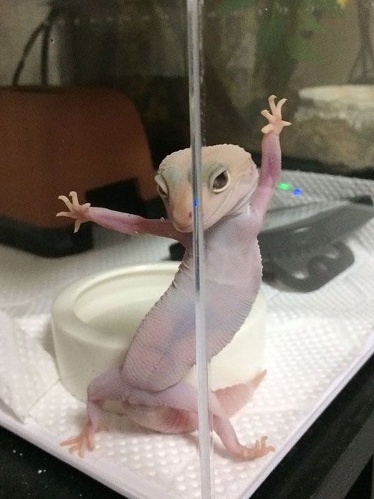 소 레 가 보쿠노 타겟또